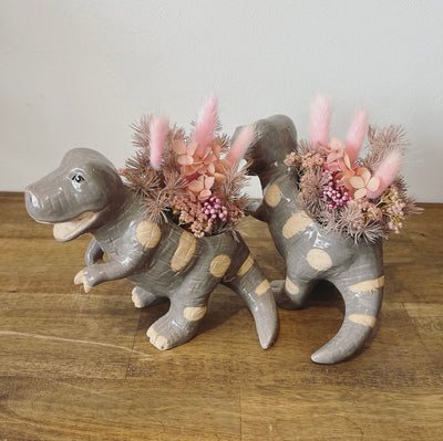 Tilly Tyrannosaurus