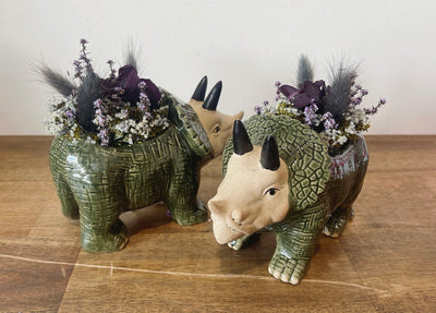 Trevor Triceratops